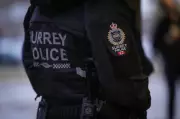 Surrey Police Investigate Shooting That Damaged Local Business