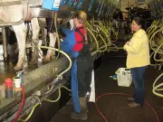 Sylvain Charlebois Proposes Gradual Phase-Out of Canada's Dairy Supply Management