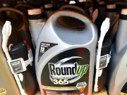 The Right Chemistry: Putting Concerns About Weed Killer Glyphosate Into Perspective