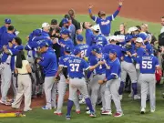 The Unique Passion of International Sports: World Cup, WBC, and Olympic Hockey