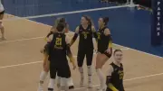 University of Alberta Pandas Capture First National Volleyball Title in 19 Years