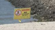 Vancouver to Remove Lifeguards from Select Beaches for 2026 Season