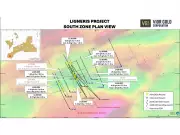 Vior Gold Corporation Discovers High-Grade Gold at Ligneris Project in Quebec