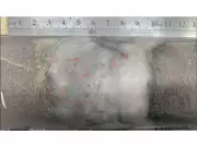 West Red Lake Gold Reports Positive Drill Results from Rowan Mine Project