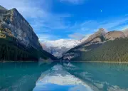Whirling Disease Detected in Lake Louise by Parks Canada, Threatening Aquatic Life