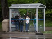 Windsor Police Hunt Hit-and-Run Driver After Bus Shelter Smashed