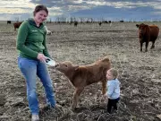Women in Saskatchewan Agriculture Rise as UN Declares 2026 Year of Woman Farmer