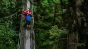 Zipline and Tree Canopy Walkway to Open in Vancouver's Queen Elizabeth Park This Summer