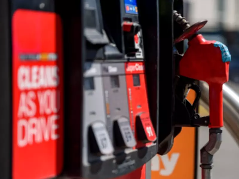 Premier Smith Shows Backbone by Not Dropping Fuel Tax, Says Nelson