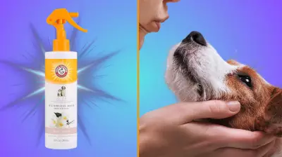 Arm & Hammer Waterless Dog Bath Spray: A $5 Miracle for Stinky Pets
