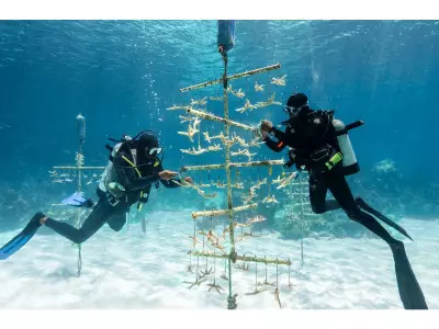 Bahamas to Host 2027 Global Sustainable Tourism Council Conference