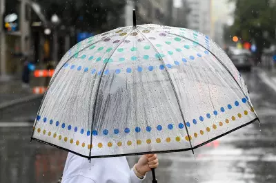 Barrie Residents Advised to Keep Umbrellas Handy as Rain Persists