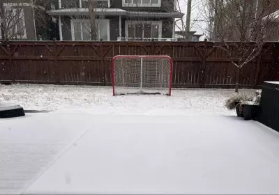 Calgary Braces for Frigid Temperatures and Heavy Snowfall This Week