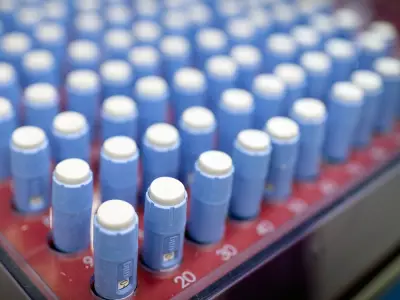 Canada Approves First Generic Ozempic, Boosting Access to Cheaper Diabetes Drugs