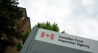 CanadaEgg Salmonella Recall Expands to Ontario and Quebec Products