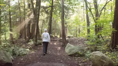 Connecting with Nature: The Rise of Forest Bathing and Its Benefits