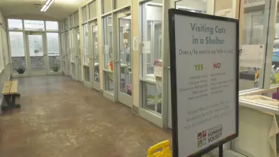 Edmonton Humane Society Begins Major Renovation of Adoption Gallery