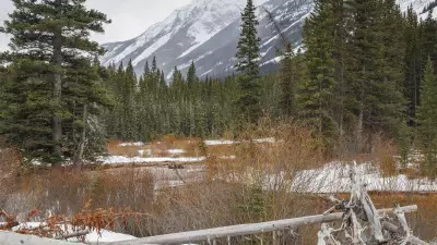 Embracing Winter's Beauty: A Snowy Journey Through Alberta's Foothills