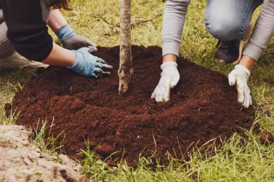 ENWIN Invites Community to Earth Day Tree Planting Event in Windsor