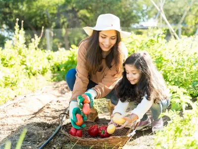 Expert Gardening Tips: Maximizing Vegetable Yield in Limited Spaces