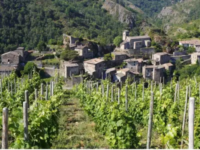 Exploring the Diverse World of Sauvignon Blanc: From Loire Valley to New Zealand