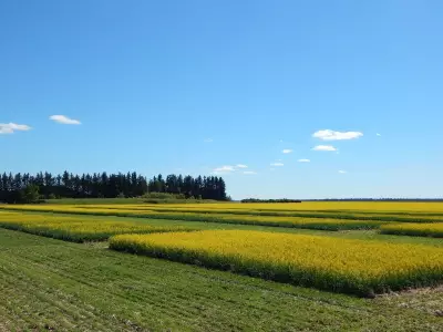 Federal Farm Research Cuts Threaten Organic Agriculture and Food Security