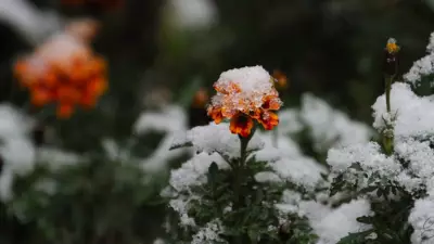 Forest City Braces for Unseasonably Cold Temperatures This Sunday and Monday