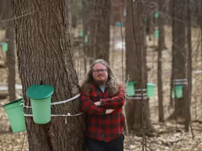 From Humble Sugar Shack to Urban Marvel: Vanier's Maple Transformation