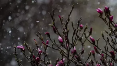 From Wind Chills to 20°C: London Braces for a Milder Weather Stretch Ahead