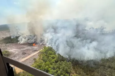 Georgia Wildfire Tops 31 Square Miles, Evacuations Possible