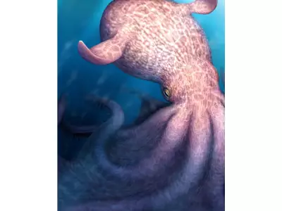 Giant Kraken-Like Octopus Was Apex Predator Millions of Years Ago