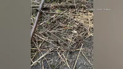 Greely Residents Outraged Over Lethal Beaver Trapping Incident