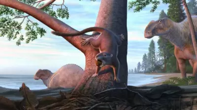 Hamster-Sized Mammal Outlasted Most Dinosaurs, Study Finds