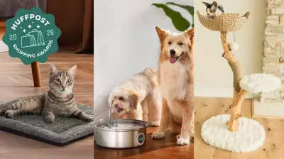HuffPost Shopping Awards 2026: Top-Rated Pet Products for Your Furry Family