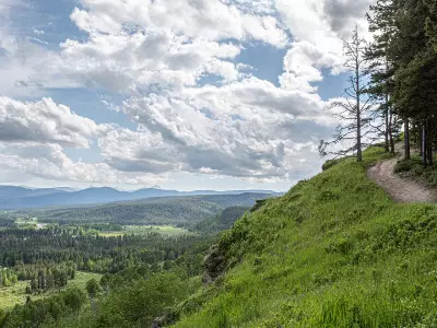 Kananaskis Logging Plans Modified but Conservation Concerns Persist