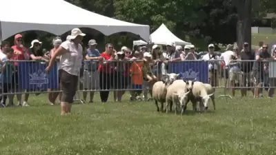 Kingsville Highland Games Secures $20,000 in Provincial Funding Boost