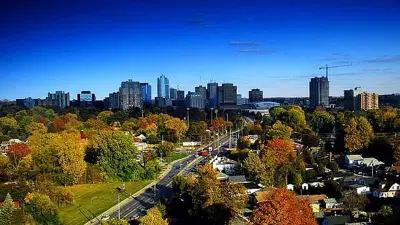 London, Ontario Launches Funding Program to Protect Mature Urban Trees