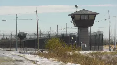 Major Drug Seizure at Edmonton Maximum-Security Prison: Over $57K in Meth and Cannabis Confiscated