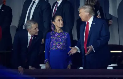 Mexico Seeks Early Trade Agreement on Steel, Aluminum, and Autos Before CUSMA Review