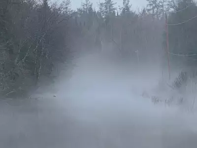 Minden Hills Declares State of Emergency Amid Severe Flooding Conditions