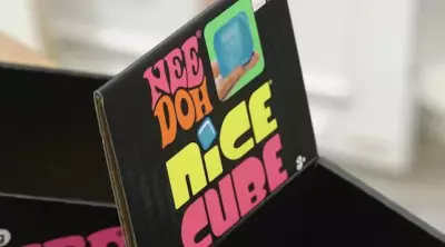 NeeDoh Toy Craze on TikTok Fuels High Demand at Regina Shops