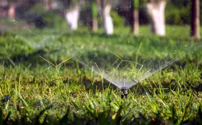No Lawn Watering from May 1 as Metro Vancouver Imposes Stage 2 Restrictions
