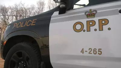 Novice Driver Faces Multiple Charges After Traffic Stop in Ontario