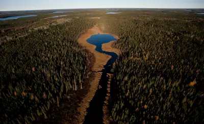 Ontario's Repealed Endangered Species Act: What Replaces It?