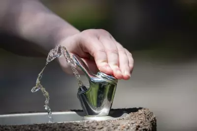Orléans Parents Petition Province Over Lead Contamination in School Water