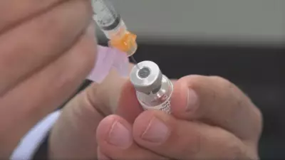 P.E.I. Reports Sharp Drop in RSV Hospitalizations Among Infants and Seniors