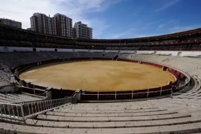 Retired Matador Fatally Gored by Bull in Southern Spain Ahead of Bullfight