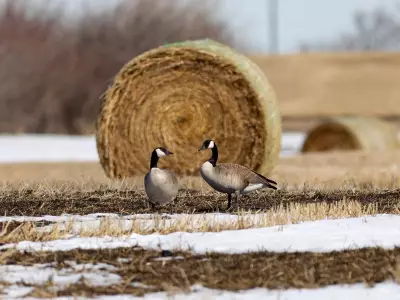 Saskatchewan Launches Comprehensive Review of Farm Land Ownership Regulations