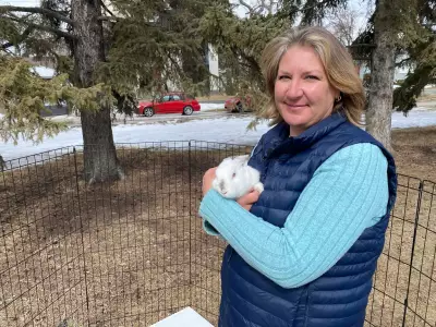 Saskatoon's Stray Rabbit Crisis: A Sad Reality of Pet Abandonment