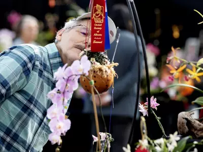 St. Albert Orchid Fair Blooms with Over 400 Flowers and 3,000 Visitors Expected
